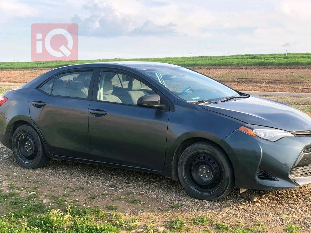 تويوتا كورولا